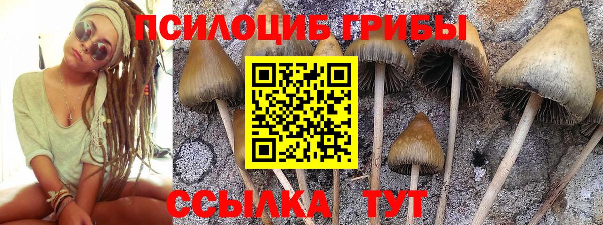 Галлюциногенные грибы мухоморы  Вход с VPN  как найти наркотики  Тобольск 