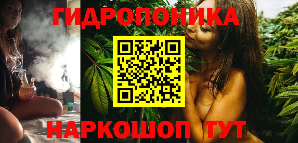 Бошки марихуана сатива  Вход с VPN  Канабис тримм  Шишки марихуана марихуана  Каннабис VHQ  Тобольск 